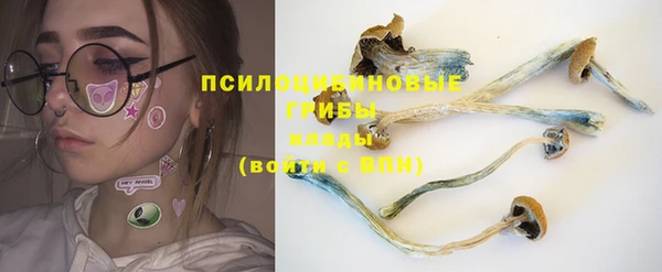 гидра Наволоки