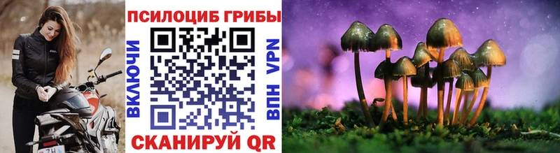 Купить где  Елизаветинская  Галлюциногенные грибы MAGIC MUSHROOMS 